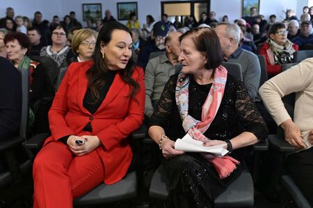 Deseta državna razstava strukljev (44)